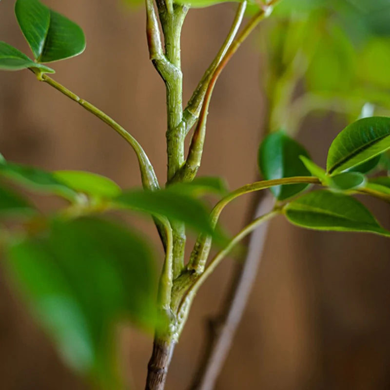 Grande ramo artificial de ficus