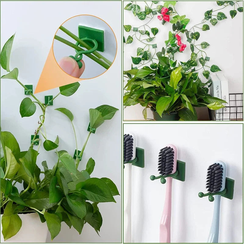Fixador Auto-adesivo Planta Escalada